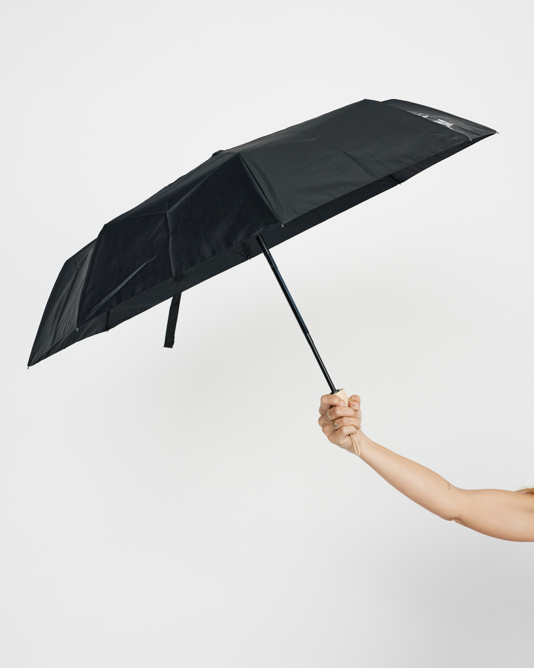 The WNSDY Umbrella