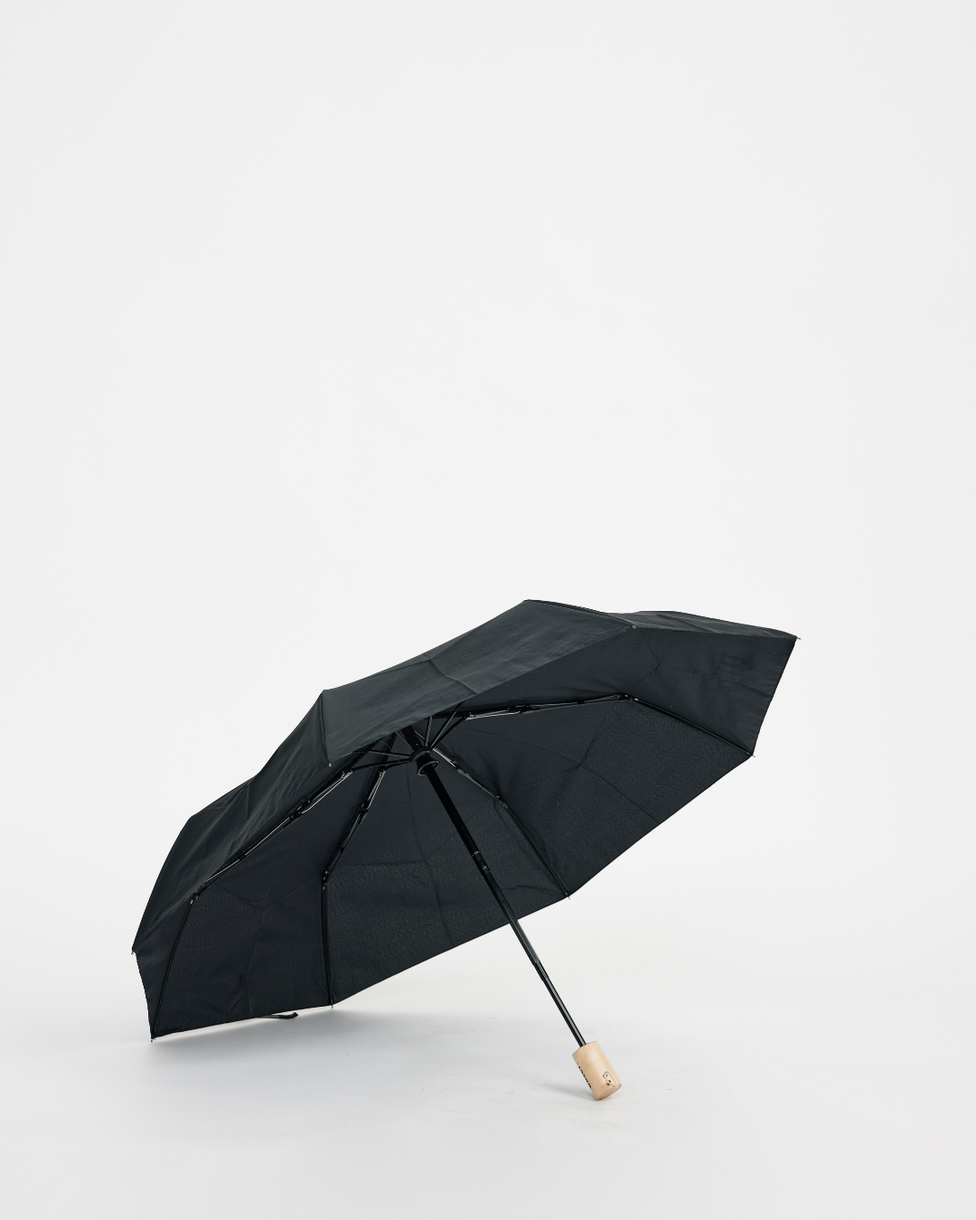 The WNSDY Umbrella